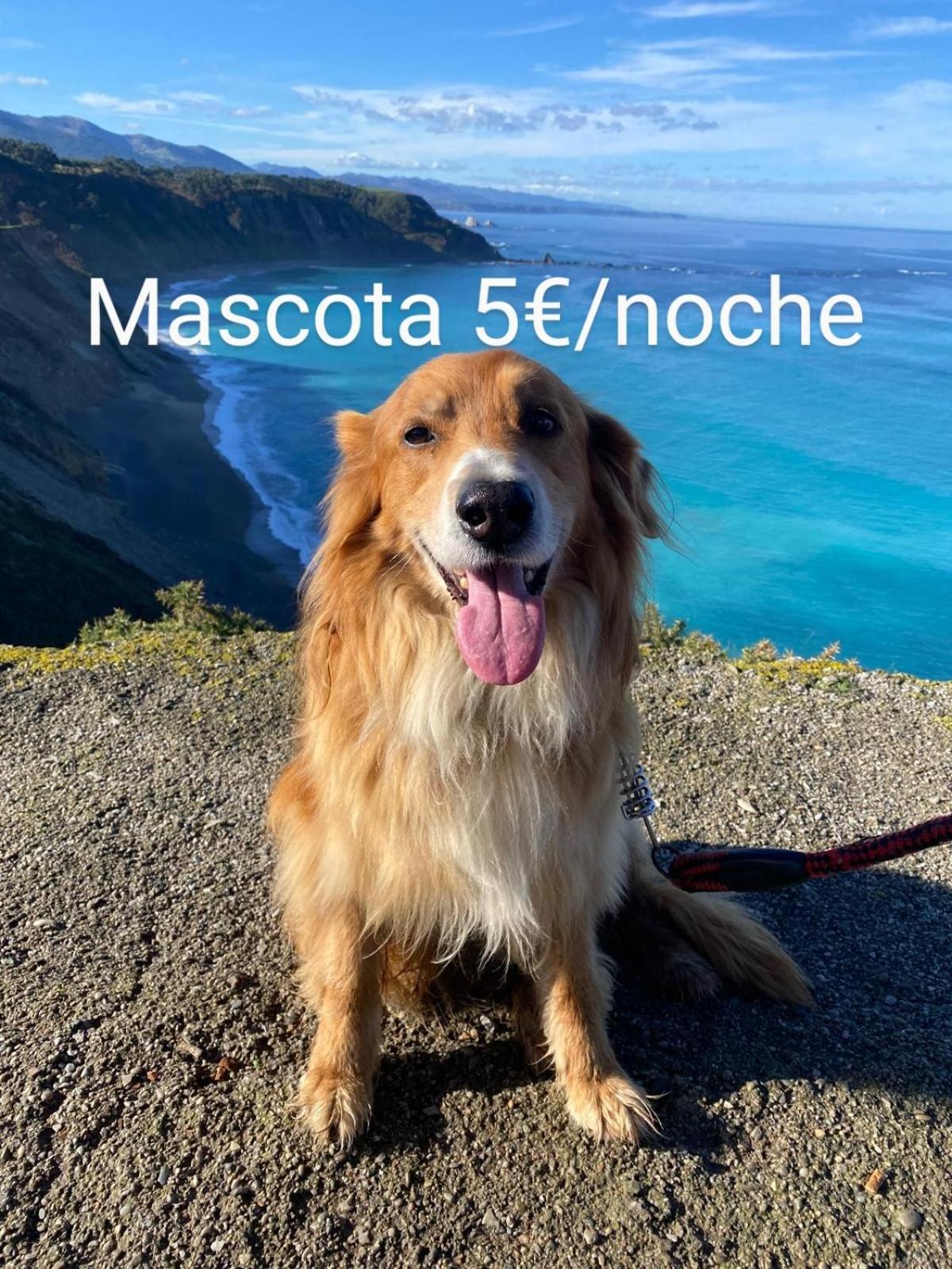 El Desvan Del Chisco Cudillero Esterno foto